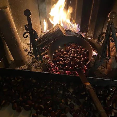 דירה Immersa Nel Monteombraro