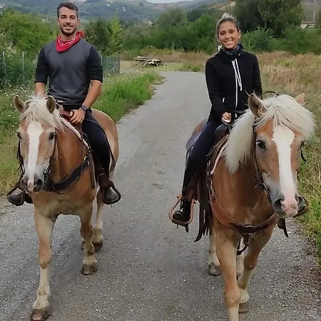 דירה Immersa Nel Monteombraro