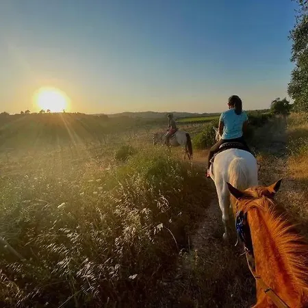 דירה Immersa Nel