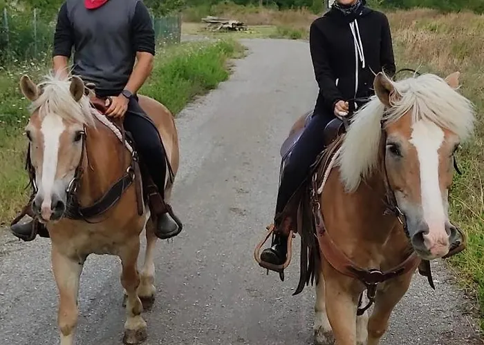 شقة Immersa Nel Monteombraro