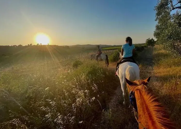 Appartamento Immersa Nel