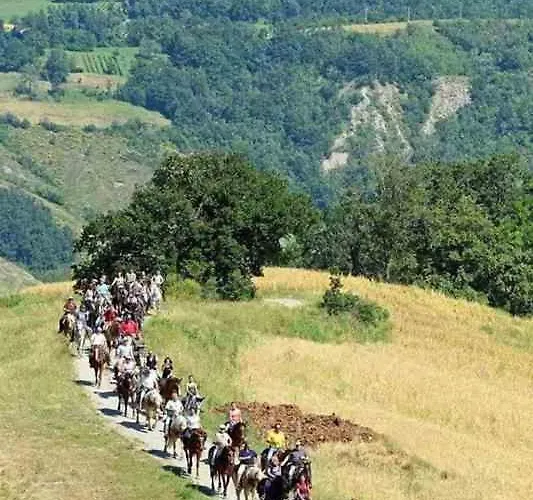 Appartamento Immersa Nel Monteombraro